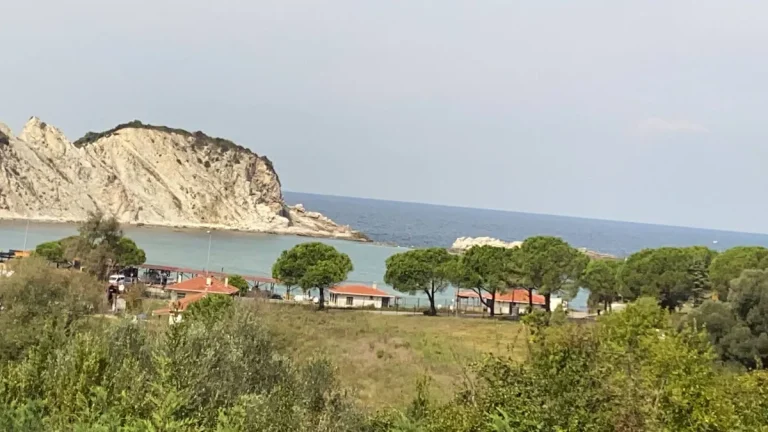 🏡 İstanbul Şile’de Geniş Bahçeli, Özel Havuzlu Ahşap Villa — Şile, İstanbul