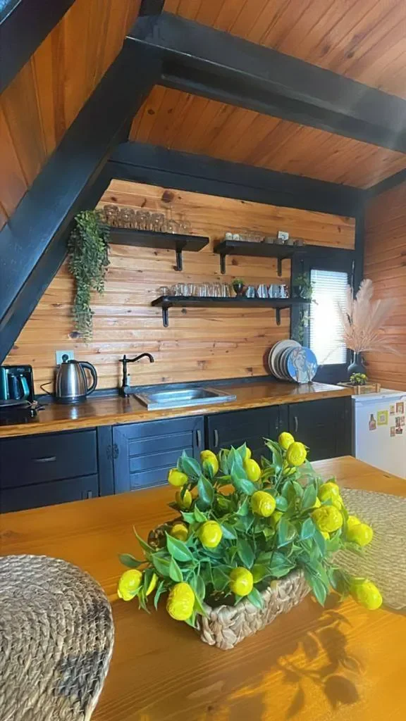 Sapanca Gazipaşa'da Geniş Bahçeli, Isıtmalı Havuzlu, Kiralık Bungalov — Sapanca, Sakarya